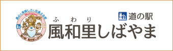 道の駅風和里しばやま