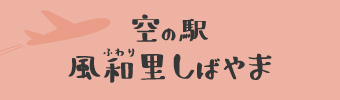 空の駅風和里しばやま