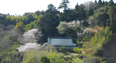 花と緑と農芸の里 和い処