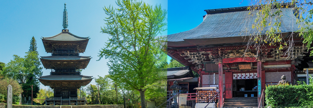 芝山仁王尊は自然に囲まれた静謐な寺院です。境内は、四季折々の花木で彩られています。